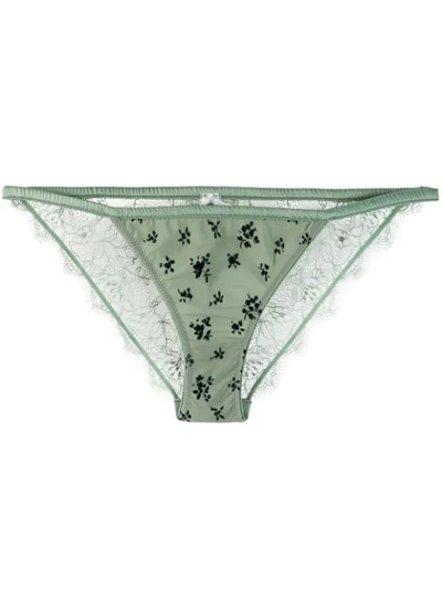 Love Stories Floral Lace Briefs - Green In Green