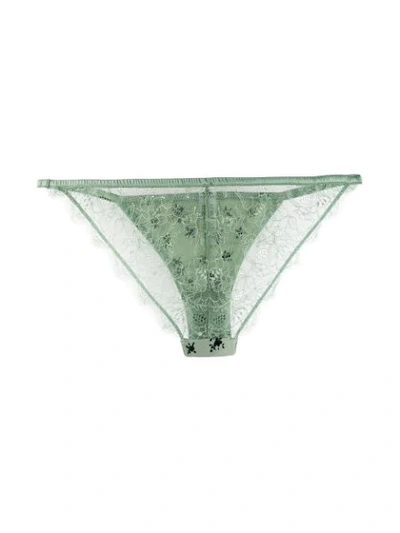Love Stories Floral Lace Briefs - Green In Green