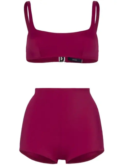 Shop Araks Quinn Quenton Bikini Set In Purple