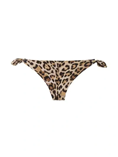 Shop Moschino Leopard Print Bikini Bottoms In Brown