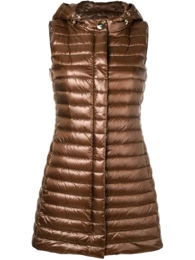 Shop Herno Zipped Padded Gilet In Brown