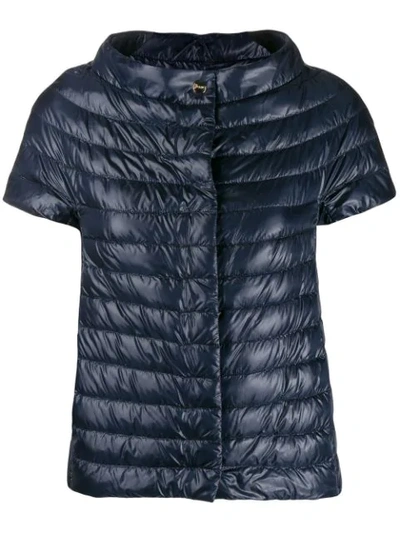 Shop Herno Stand-up Collar Jacket In Blue