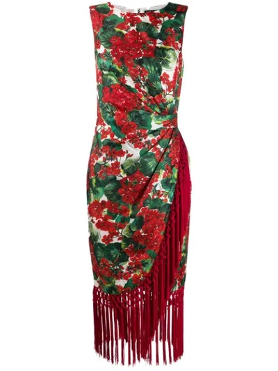 Shop Dolce & Gabbana Floral Print Fringe Dress In Red