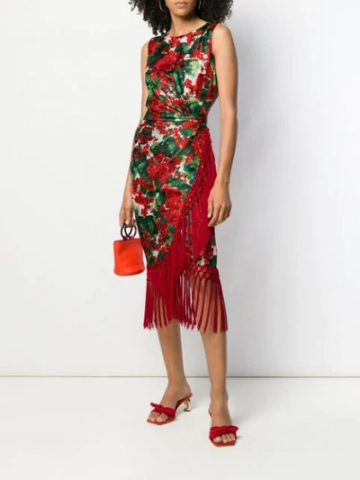 Shop Dolce & Gabbana Floral Print Fringe Dress In Red