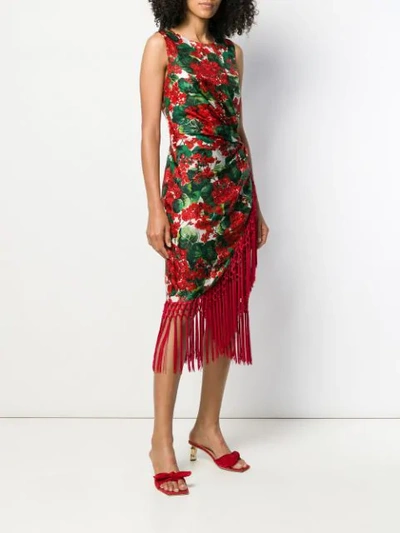 Shop Dolce & Gabbana Floral Print Fringe Dress In Red