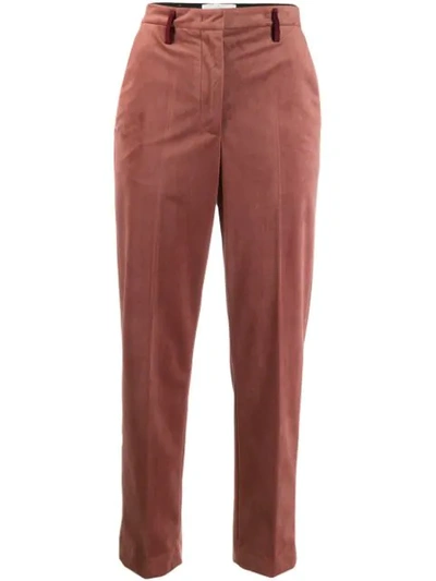 Golden velvet high-rise pants in brown - Golden Goose