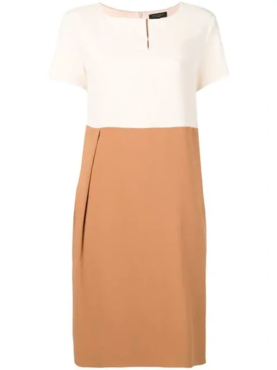 Shop Antonelli Colour Block Shift Dress In Brown