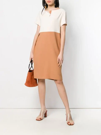 Shop Antonelli Colour Block Shift Dress In Brown