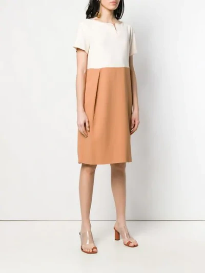 Shop Antonelli Colour Block Shift Dress In Brown