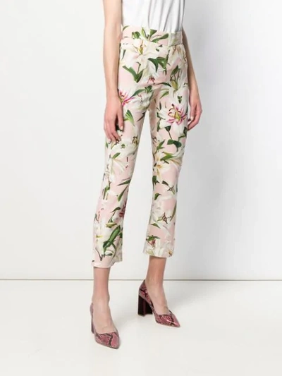 Shop Dolce & Gabbana Floral Print Trousers In Pink