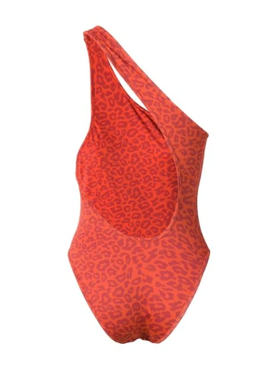 Shop Sian Swimwear Leopard One Shoulder Swimsuit In Orange