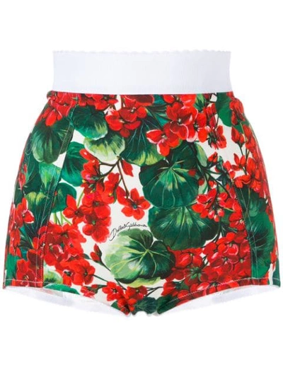 Shop Dolce & Gabbana Floral Print Bikini Bottoms In Red