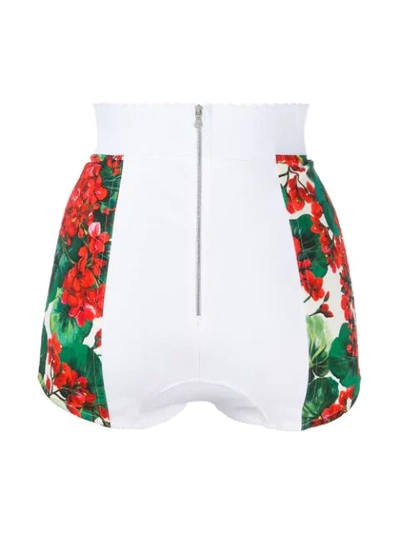 Shop Dolce & Gabbana Floral Print Bikini Bottoms In Red