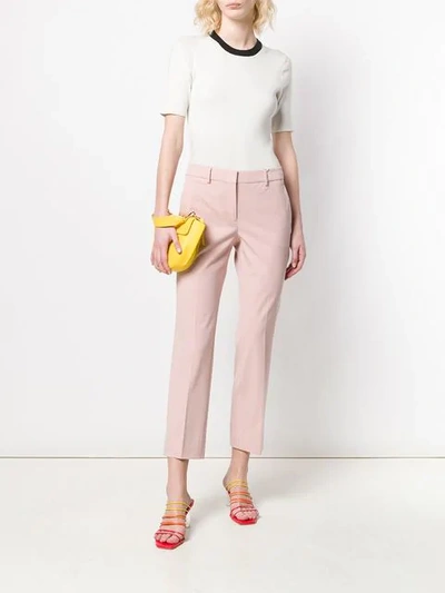 Shop Incotex Rosa Cipria Trousers In Pink