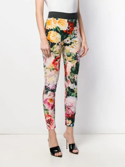 Shop Dolce & Gabbana Floral Print Leggings In Black