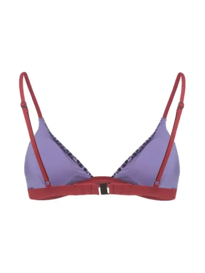 Shop Onia Danni Bikini Top In Purple
