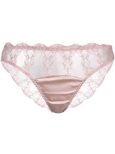 Shop Fleur Of England Antoinette Embroidered Brief In Pink