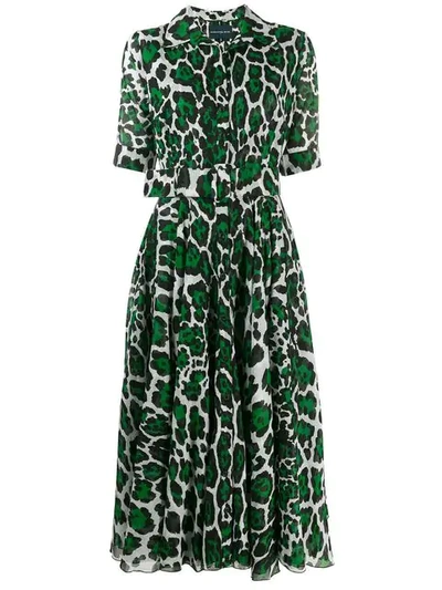 Shop Samantha Sung Leopard Print Shirt Dress In Green