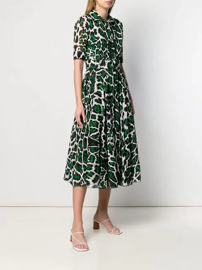 Shop Samantha Sung Leopard Print Shirt Dress In Green