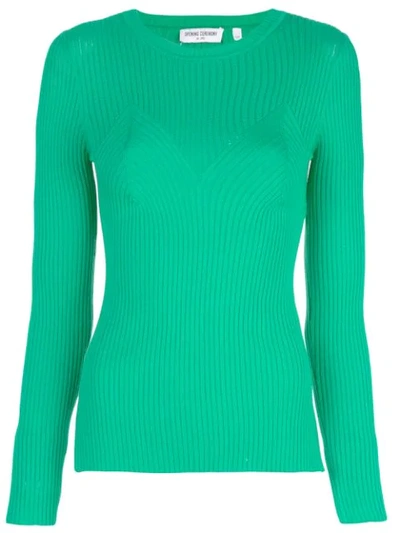 Shop Opening Ceremony Ribbed Knitted Top In 3007 Kelly Green