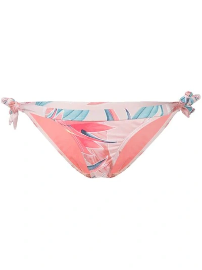 Shop Duskii Byron Paradiso Bikini Bottom In Pink