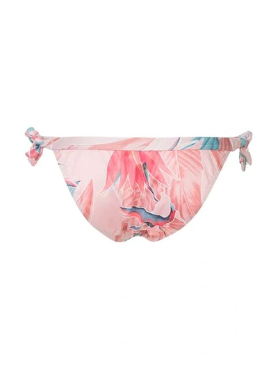 Duskii Byron Paradiso Bikini Bottom In Pink