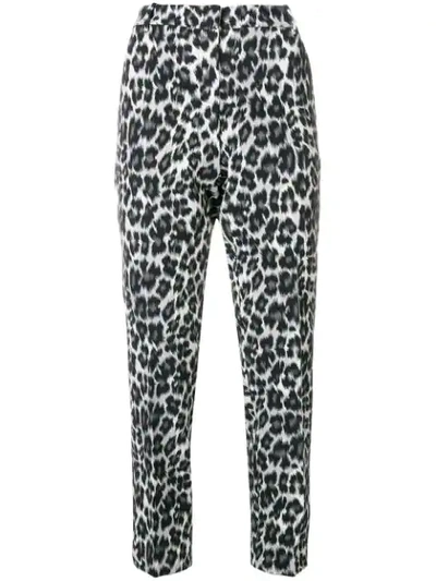 Shop Pinko Leopard Print Tailored Trousers In Black
