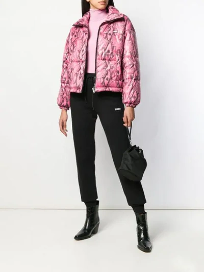 Shop Msgm Python Print Cropped Puffer Jacket In Pink