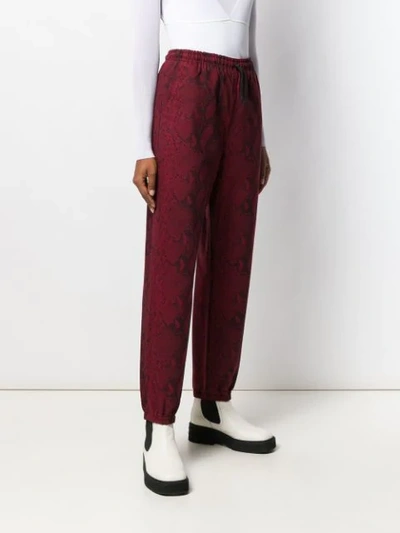 Shop Alexander Wang T Snake Print Trousers In Red