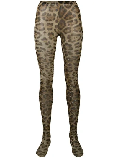 Shop Dolce & Gabbana Leopard Tights In Neutrals