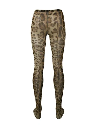 Shop Dolce & Gabbana Leopard Tights In Neutrals