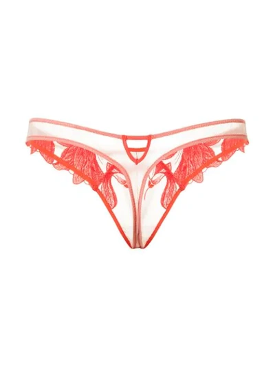 Shop Fleur Du Mal Lily Thong In Red