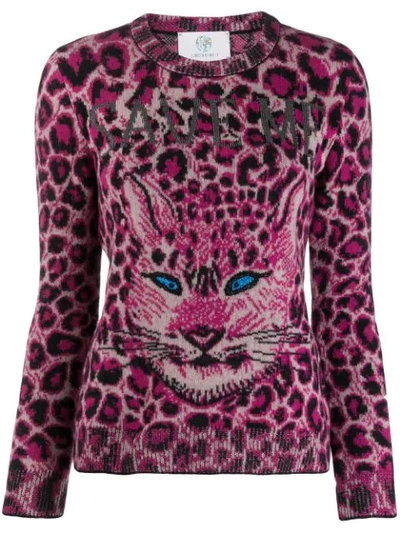 Shop Alberta Ferretti Cat Print Jumper In Pink