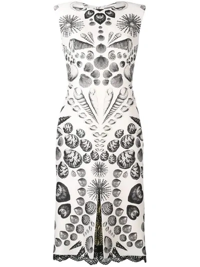 Shop Alexander Mcqueen Cabinet Of Shells Dress In Neutrals