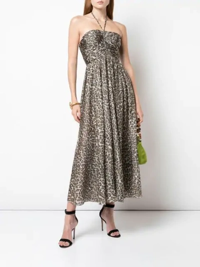 Shop Zimmermann Leopard Print Midi Dress In Brown