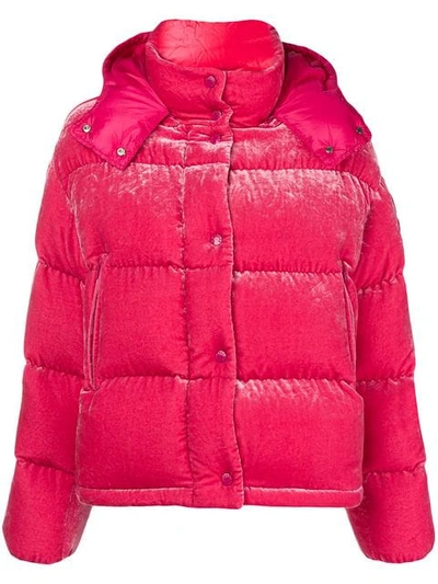 Moncler Pink Velvet Caille Down Jacket | ModeSens