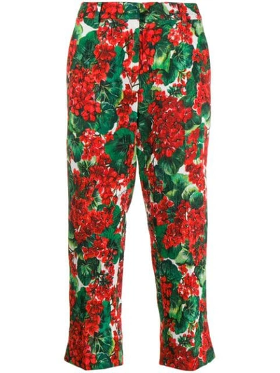 Shop Dolce & Gabbana Floral Cropped Trousers In Red