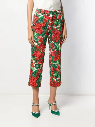 Shop Dolce & Gabbana Floral Cropped Trousers In Red