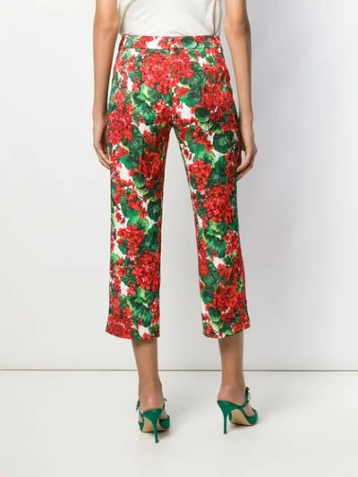 Shop Dolce & Gabbana Floral Cropped Trousers In Red