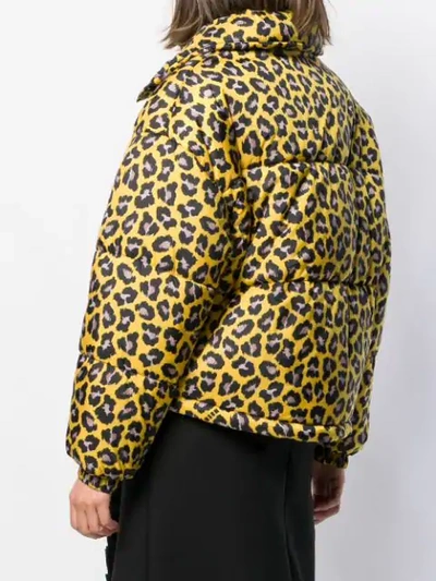 Shop Msgm Leopard-print Puffer Jacket In Yellow