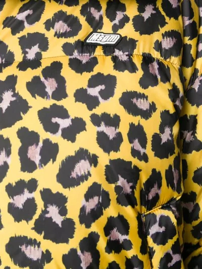 Shop Msgm Leopard-print Puffer Jacket In Yellow