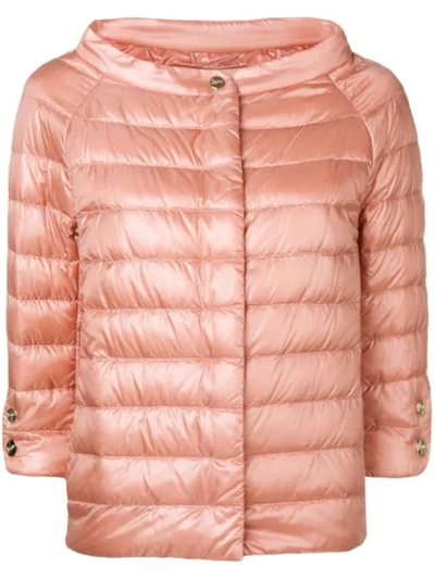 Shop Herno Short Padded Jacket In Pink