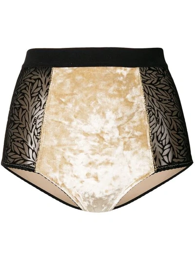 Shop Chite' Lace-embroidered Briefs In Neutrals