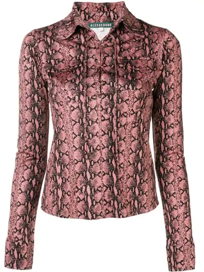 Shop Alexa Chung Snakeskin Print Lace In Pink