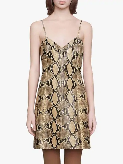 Shop Gucci Python Print Leather Dress In Brown