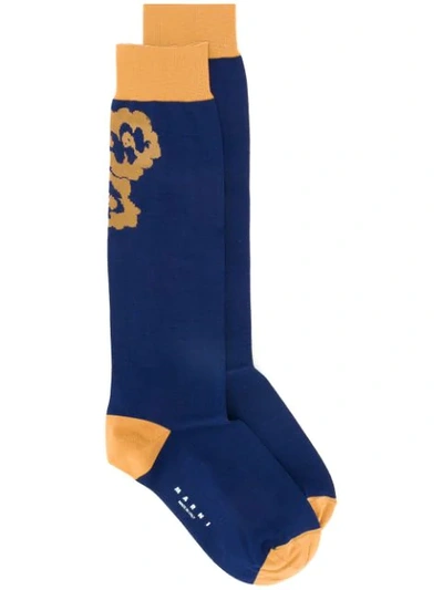 Shop Marni Floral Intarsia Socks In Blue