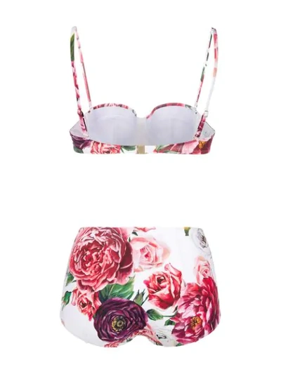 Shop Dolce & Gabbana Peony-print Bikini In White
