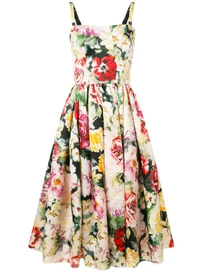 Shop Dolce & Gabbana Floral Print Flared Dress In Pink