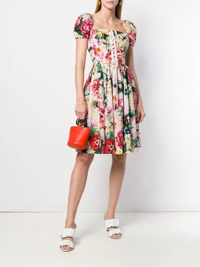 Shop Dolce & Gabbana Floral Print Skater Dress In Pink