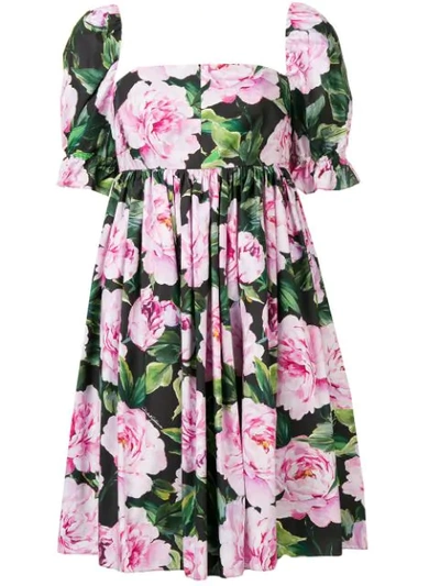 Shop Dolce & Gabbana Peonie Print Dress In Black